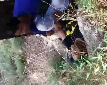 College Indian lovers Jungle chudai – HamaterDesi.com – HamaterDesi.com