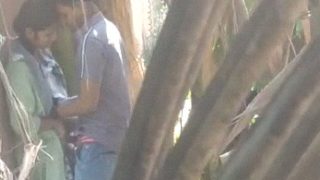 Desi lovers outdoor masti sex spy MMS video