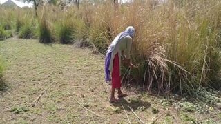 Outdoor desi sex video of pervert and a laborer on the farm